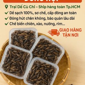 Dế Thịt Đông Lạnh Đóng Hộp